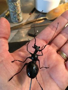 insecte en verre filé